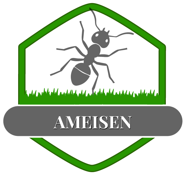 Ameise