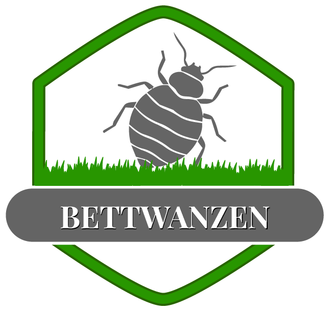 Bettwanze
