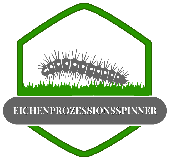 Eichenprozessionsspinner