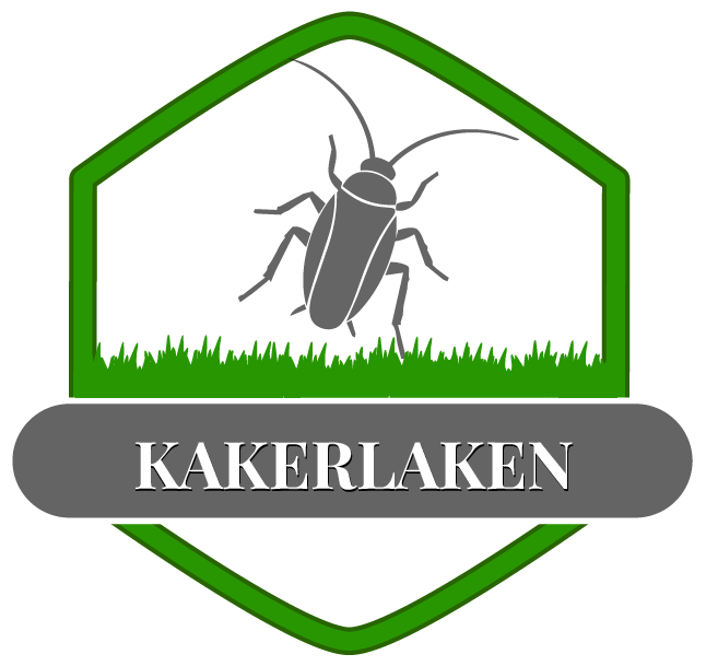 Kakerlake