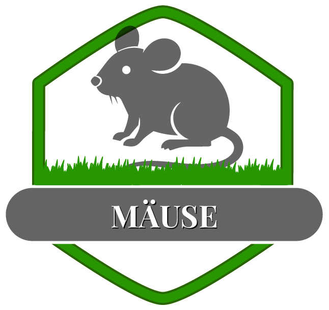 Maus