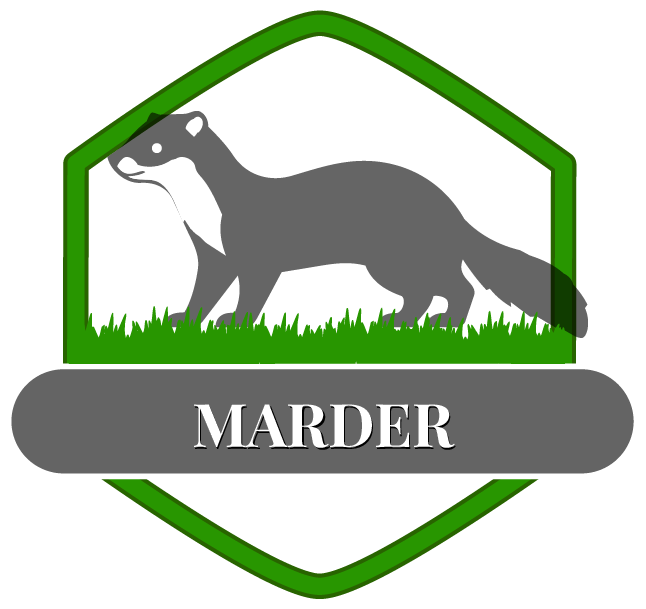 Marder