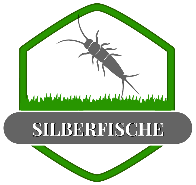 Silberfisch