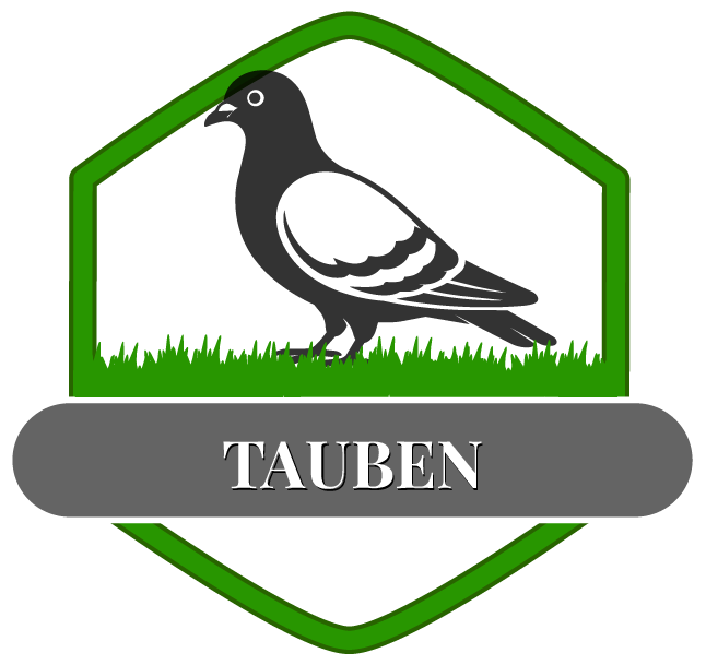 Taube