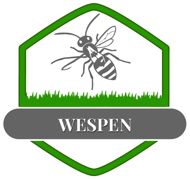 Wespe